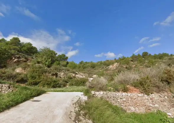 Rural land for sale in Borriol, imagen 2