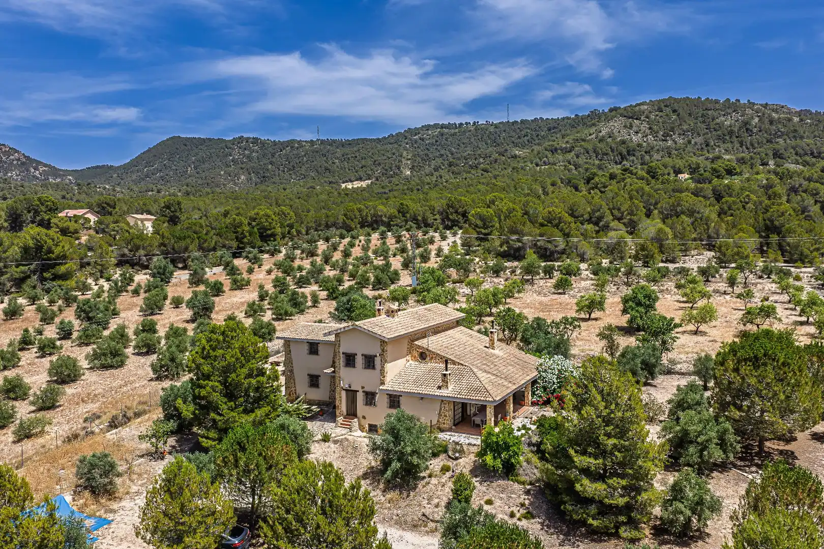 Vista exterior de Finca rústica en venda en Biar amb Calefacció, Jardí privat i Terrassa