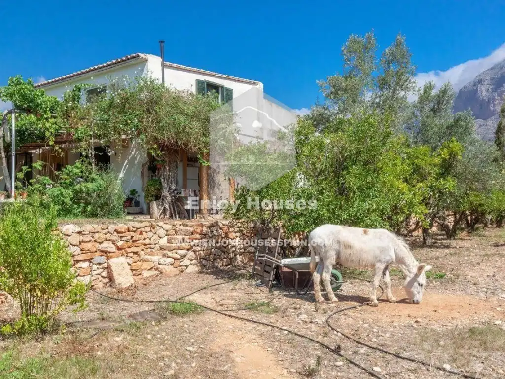 Houses for sale in Montgó - Ermita
