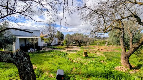 Foto 4 de Casa o chalet en venta en Los Arenales, Loja, Granada