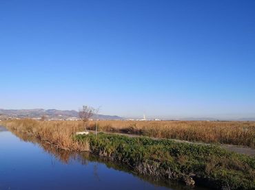 Terreno rustico in vendita a La Llosa