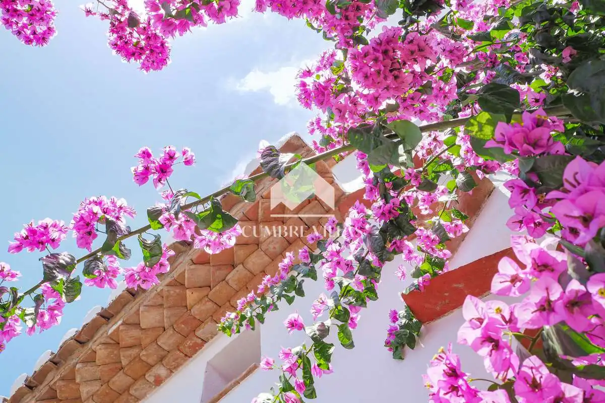 Maison rustique à vendre à Lecrín, imagen 4