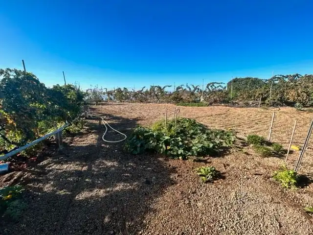 Land for sale in Granadilla de Abona