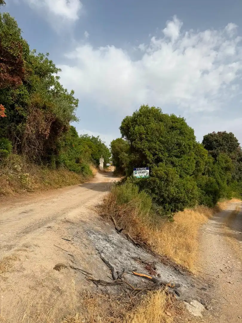 Rural land for sale in Morón de la Frontera, imagen 2