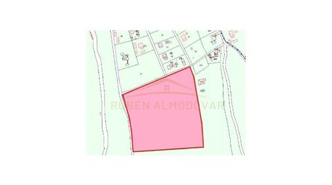 Terreno Venta Albatera, immagine 2