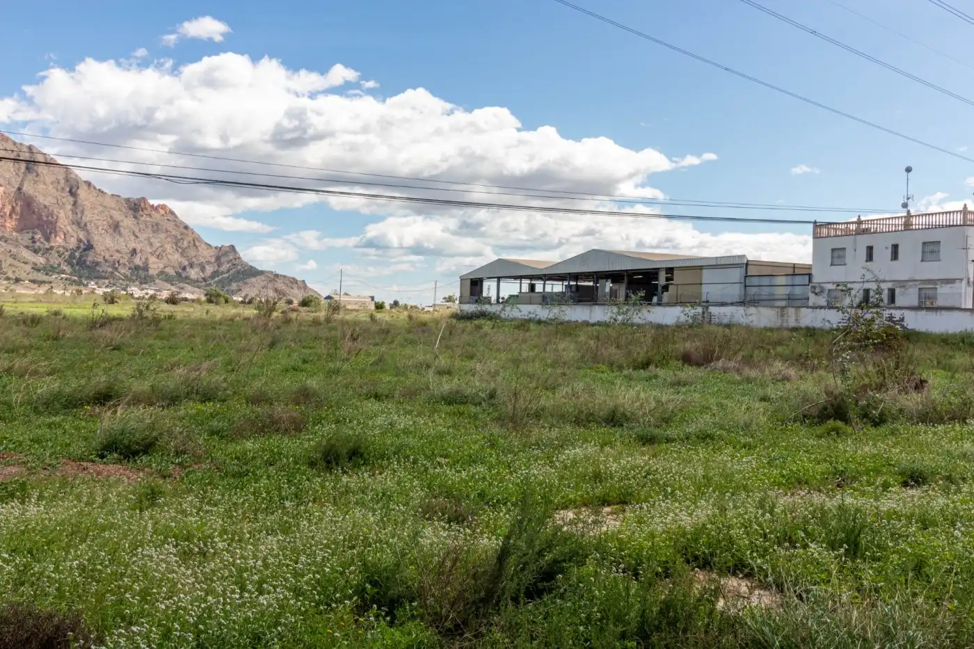 Rural land for sale in Montepinar - La Aparecida - Raiguero, imagen 10