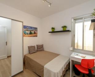 Apartament per a compartir a Navas