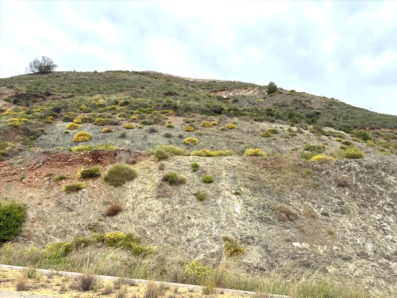 Terreno residenziale in vendita a Sierra Gorda, 159, imagen 13