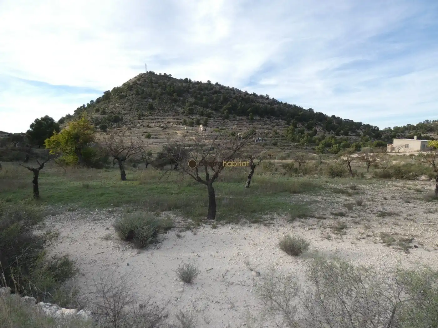 Residential land for sale in Monóvar  / Monòver, imagen 5