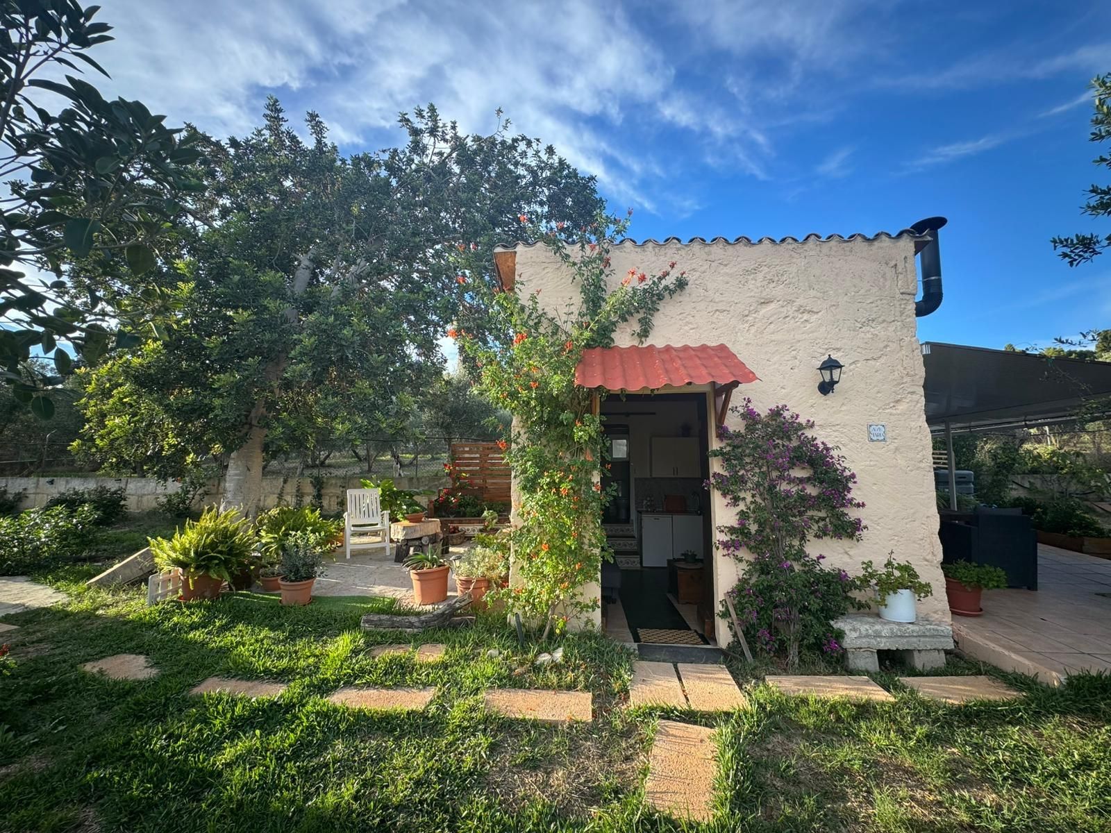 Garden of Country house for sale in Inca  with Private garden and Terrace