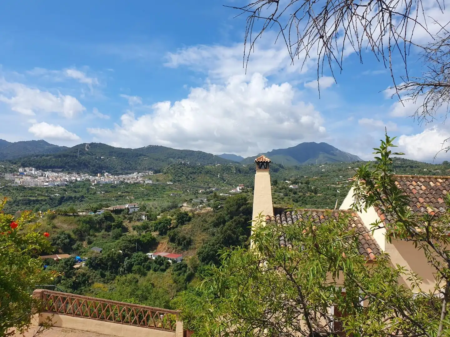 Country homes for sale in Monda