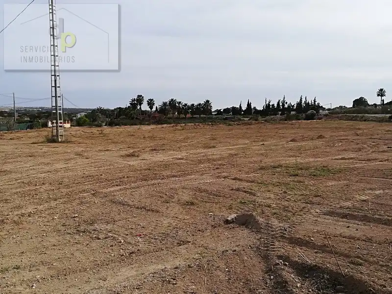 Terreno rustico in affitto a Camino del Cementerio 183, imagen 11
