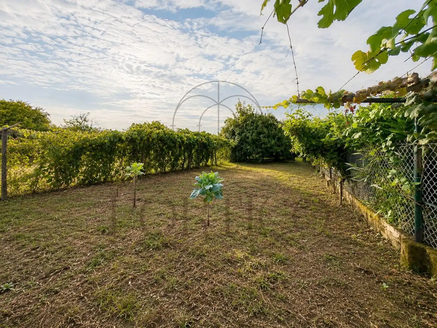 Maison avec jardin à vendre à Tui, imagen 35