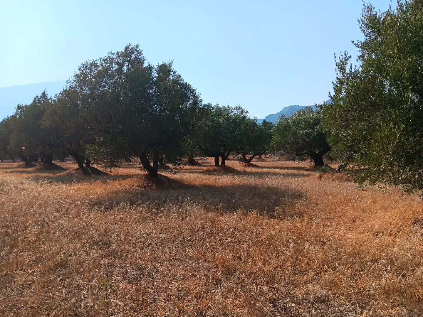 Residencial en venta en Tortosa