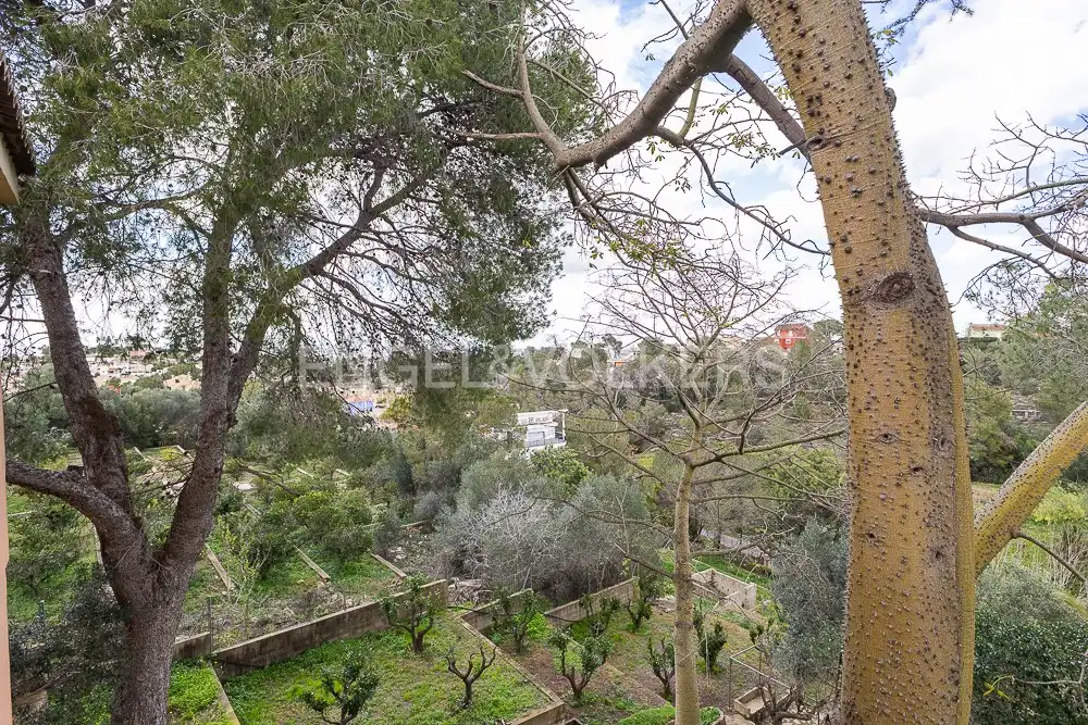 Casa o chalet en venta en Alzira con Aire acondicionado, Calefacción y Jardín privado