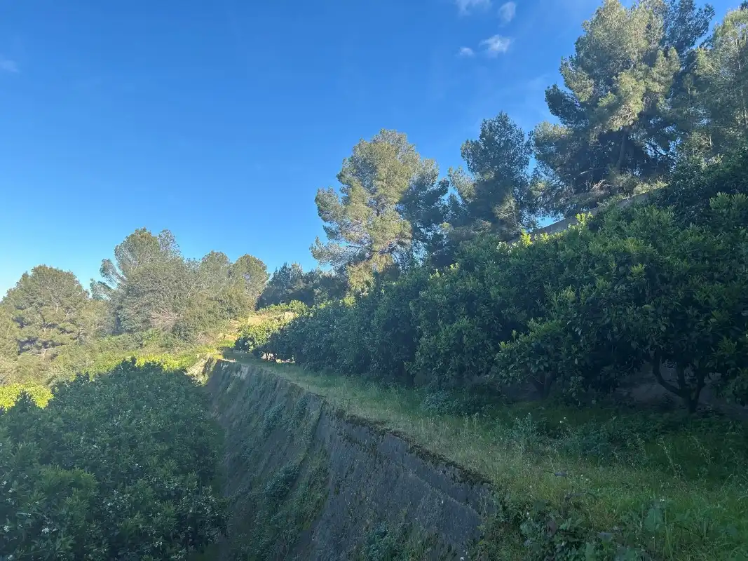 Finca rústica en venda en Oliva amb Moblat