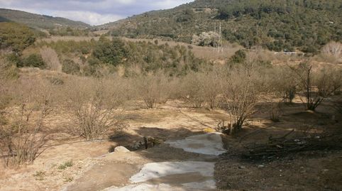 Foto 2 von Grundstücke zum Verkauf in Vilaplana, Tarragona