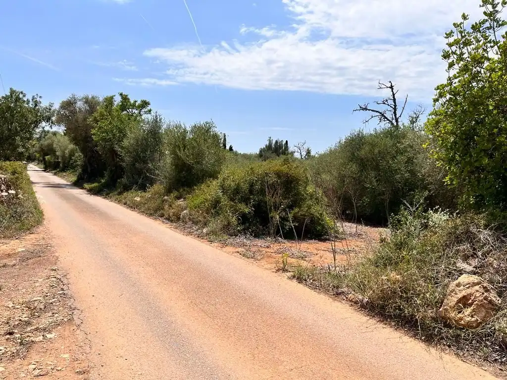 Finca rústica en venta en Llucmajor