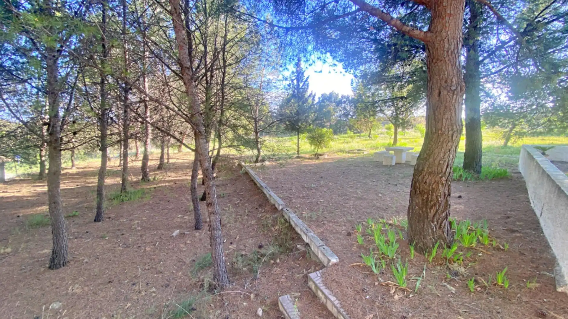 Casa o xalet en venda en Totana amb Jardí privat i Moblat