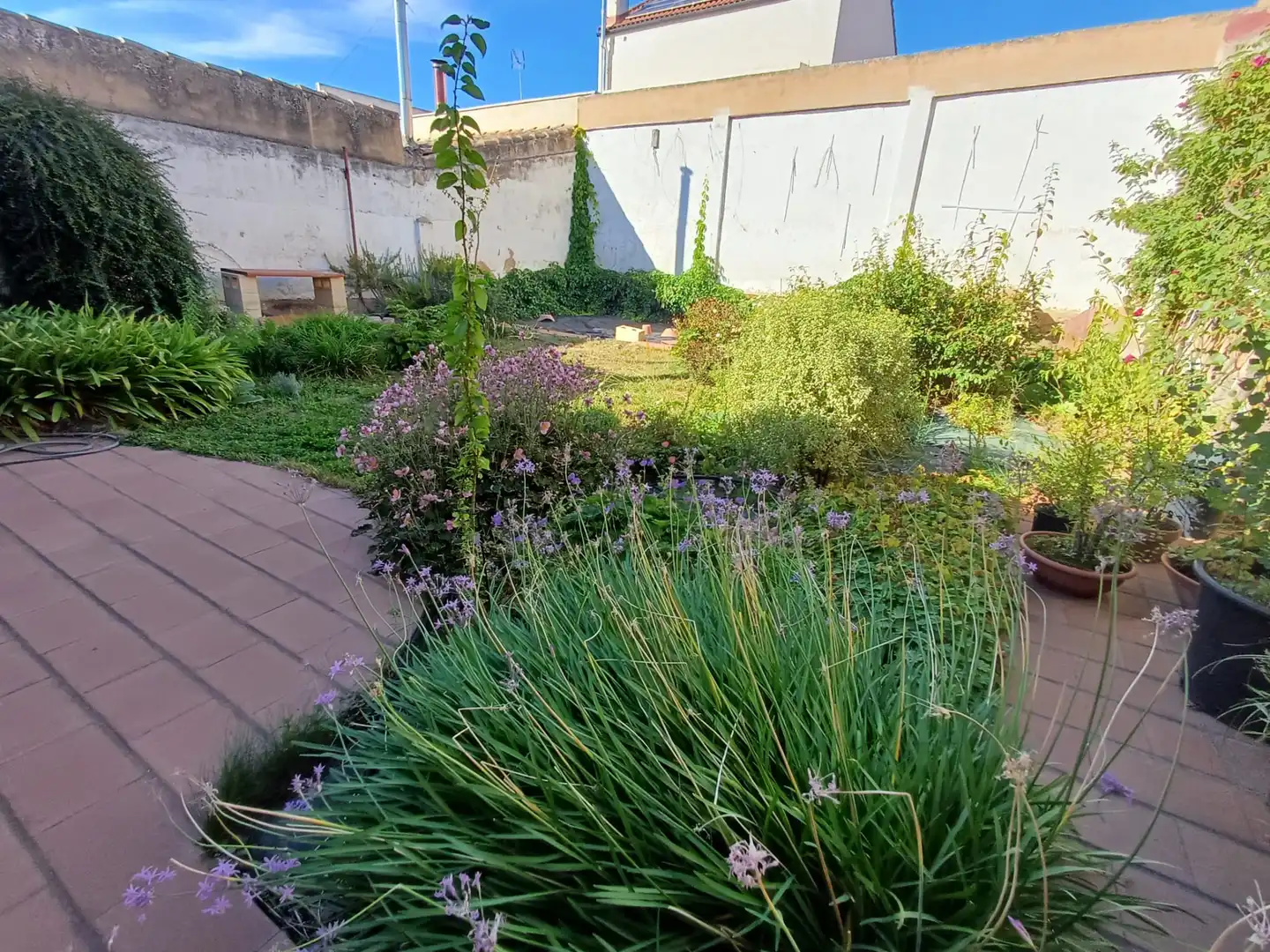 Reihenhaus mit Garten zum Verkauf in Calahorra, imagen 17