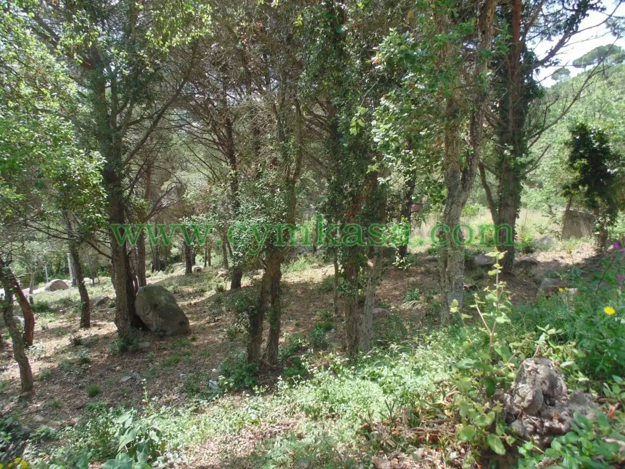 Terreny rústic en venda a Serra Brava, imagen 3