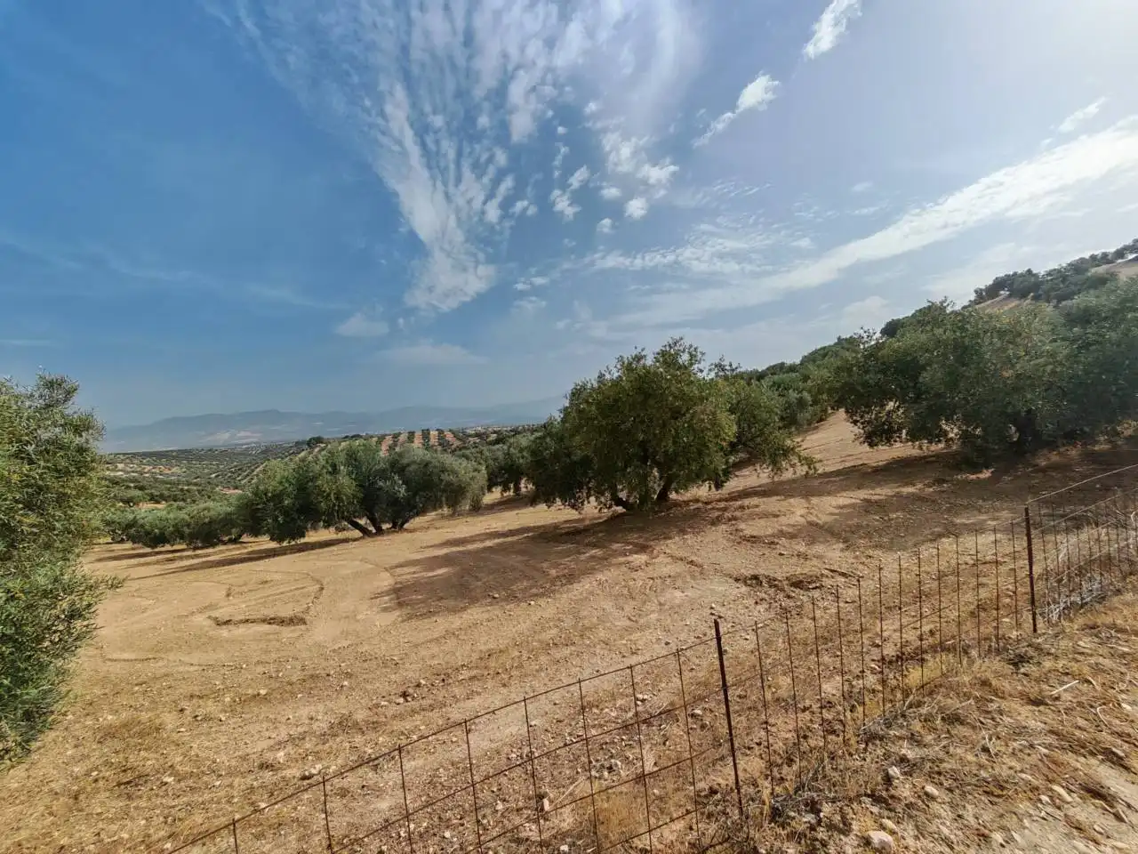 Land for sale in Salar