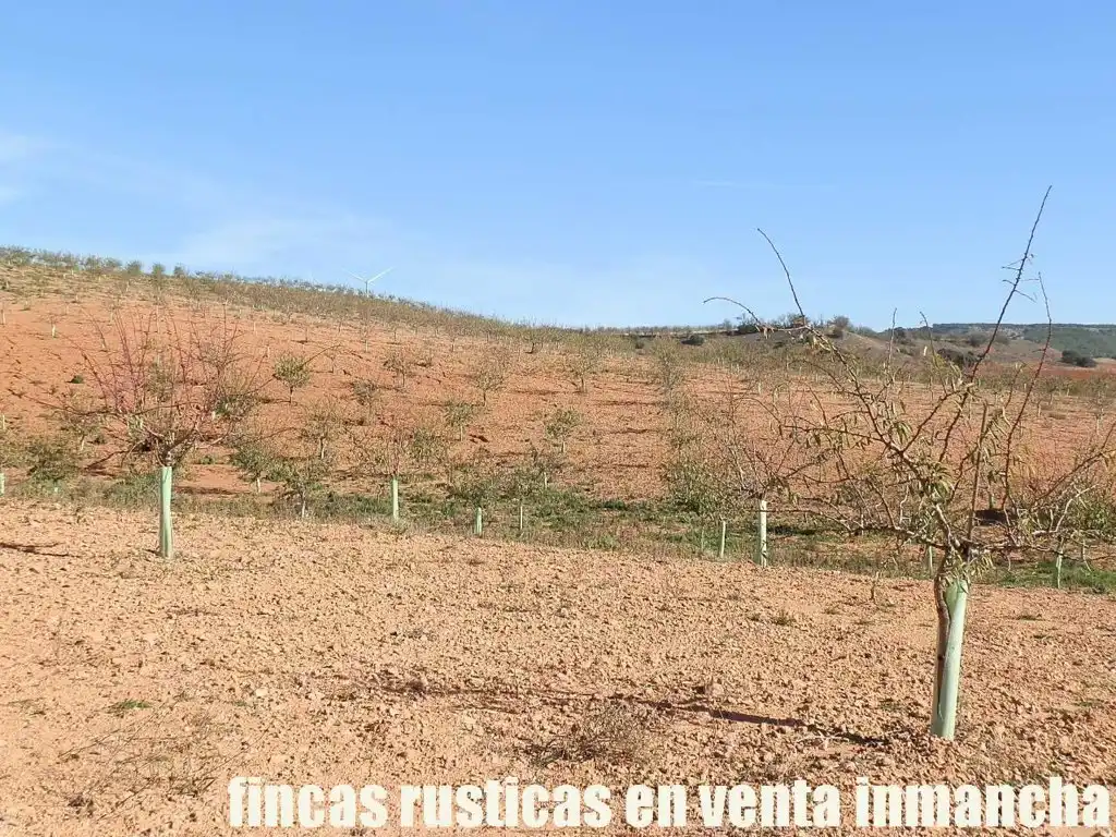 Terreni e lotti in vendita a Montalbo, imagen 9