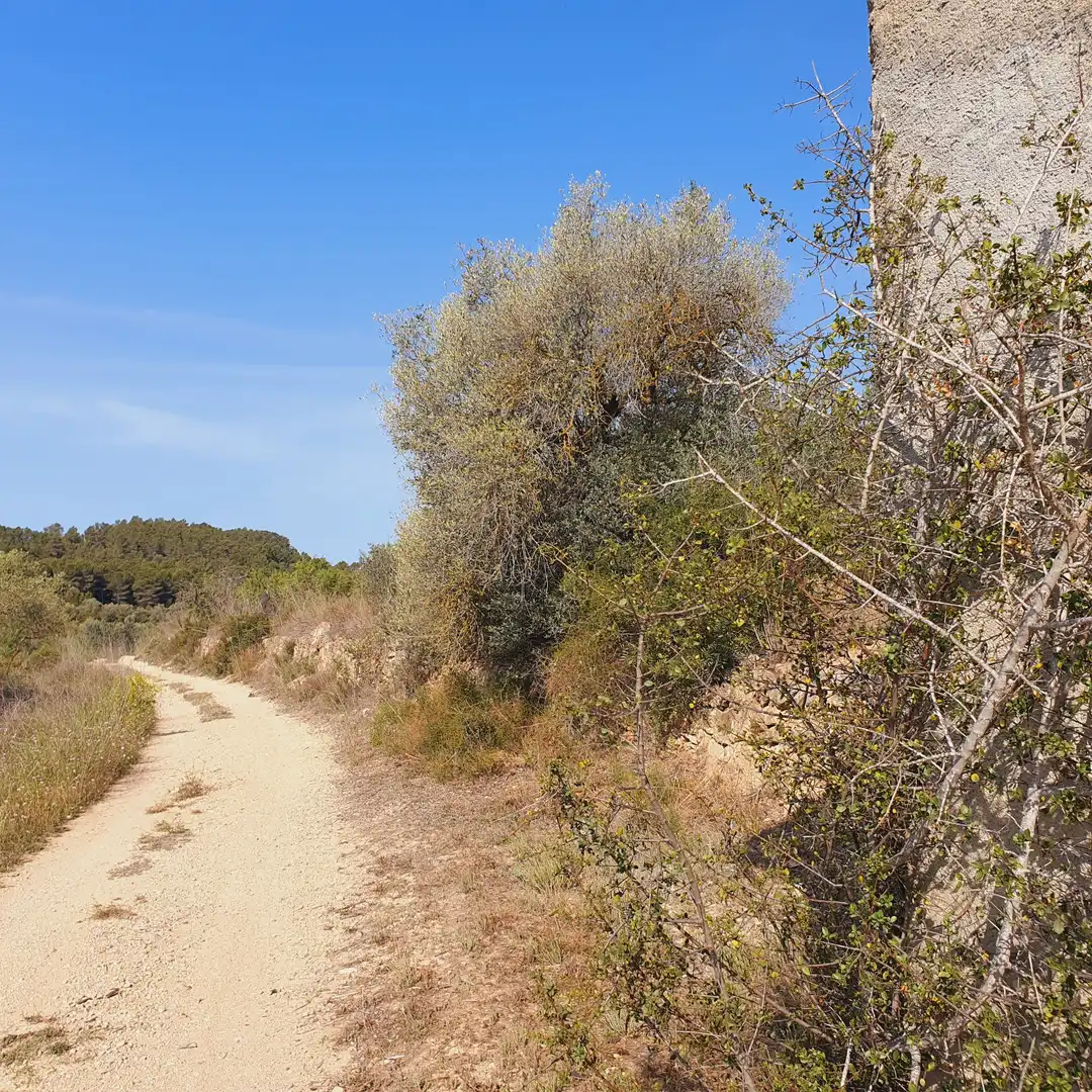 Rustikales Grundstück zum Verkauf in El Pinell de Brai, imagen 5