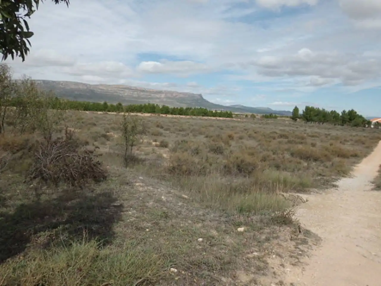 Grundstücke zum Verkauf in Almansa