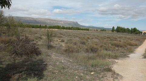 Foto 2 de Terreny en venda a Almansa, Albacete
