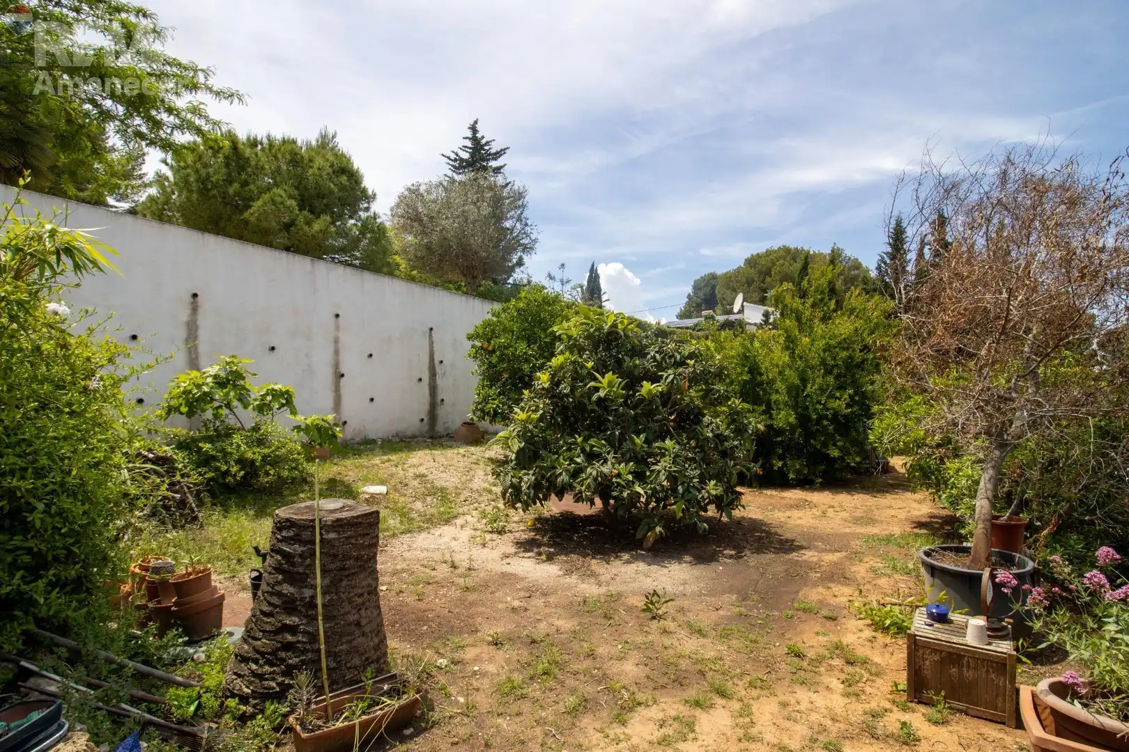 Jardí de Casa o xalet en venda en Jávea / Xàbia amb Piscina