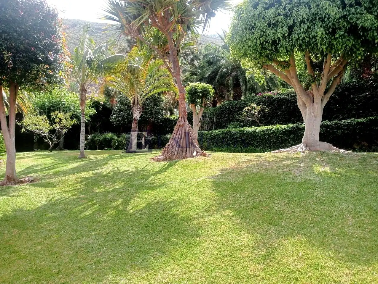 Garden of Houses for sale in La Orotava  with Air Conditioner, Private garden and Terrace