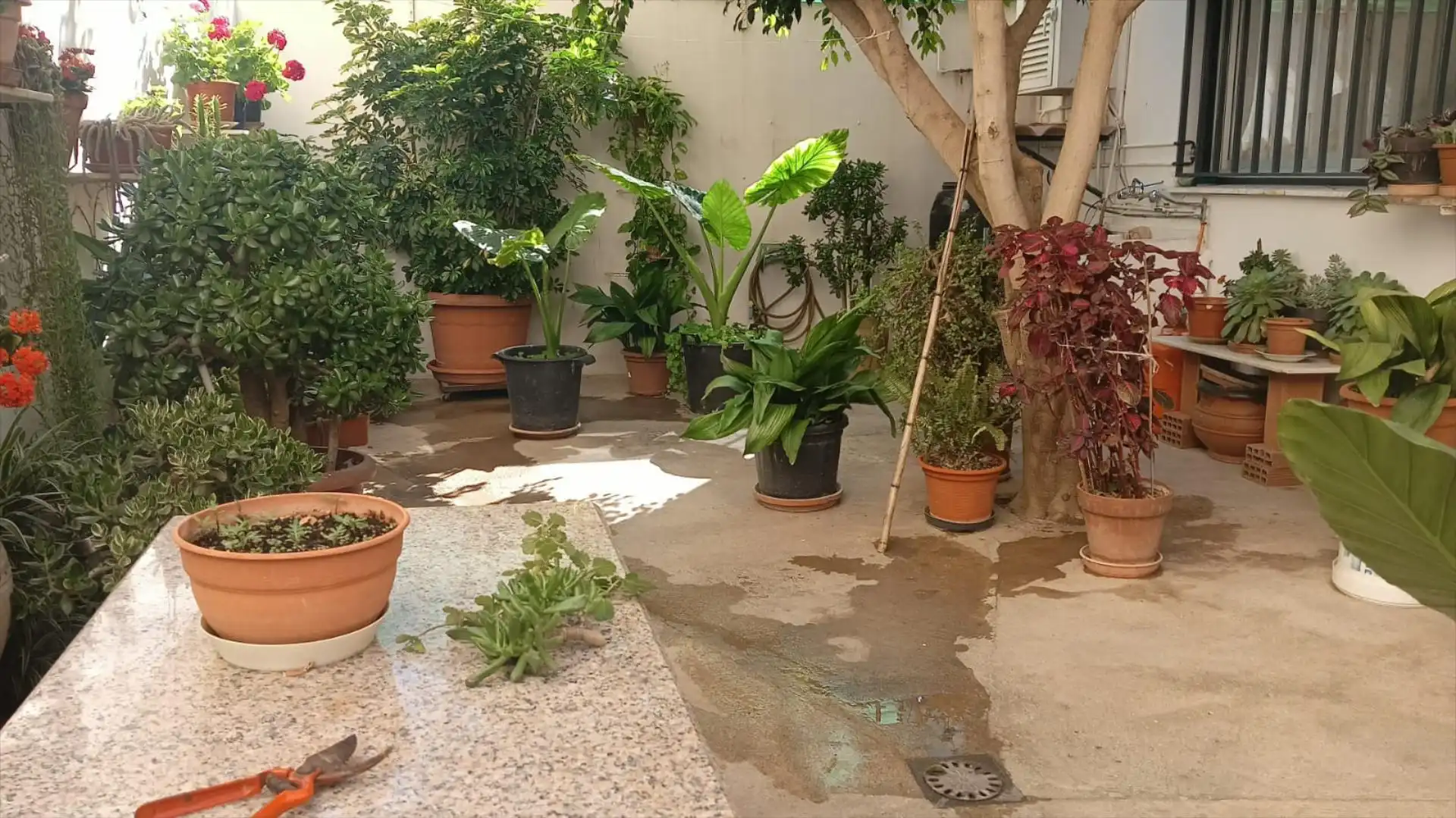 Terrace of Detached homes for rent in Riba-roja de Túria  with Terrace and Storage room