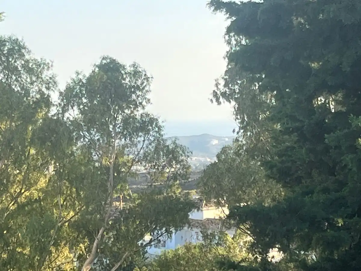 Vista exterior de Casa o chalet en venta en Mijas con Aire acondicionado, Calefacción y Jardín privado