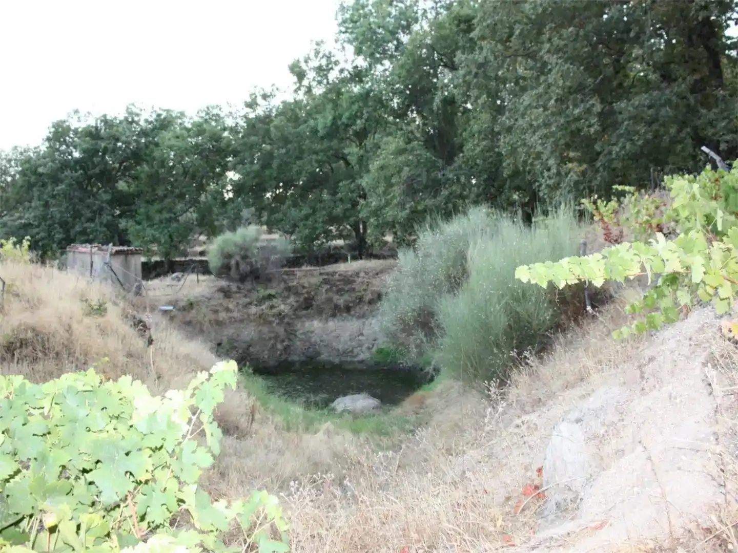 Finca rústica en venta en Losar de la Vera