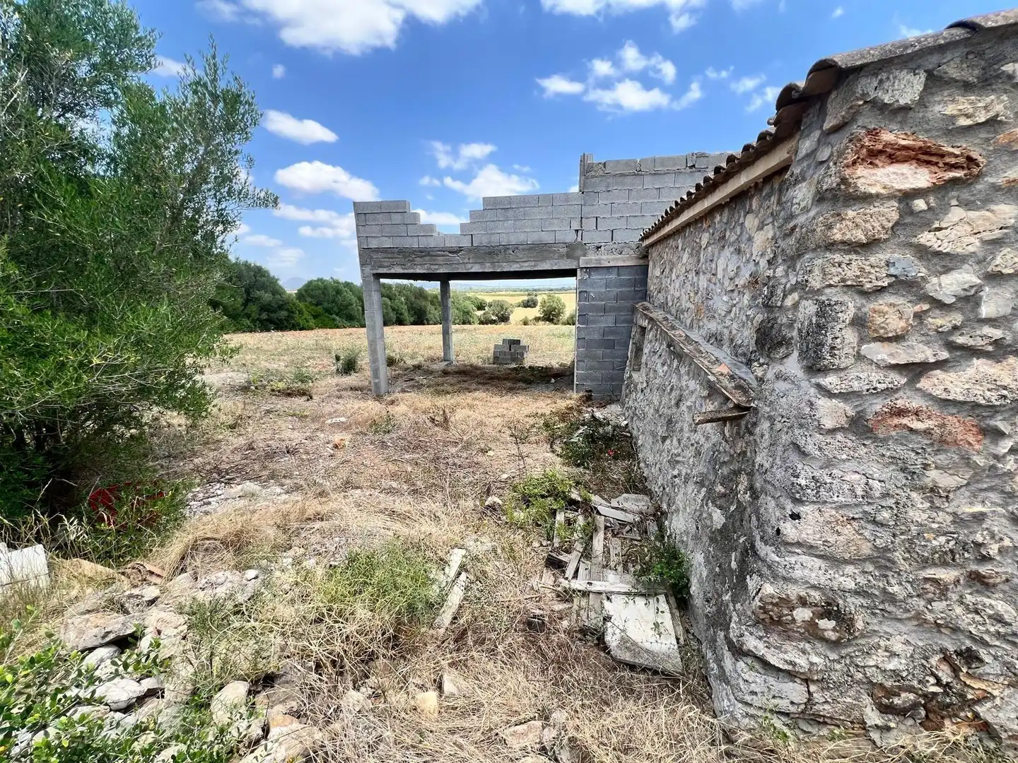 Finca rústica en venta en Vilafranca de Bonany