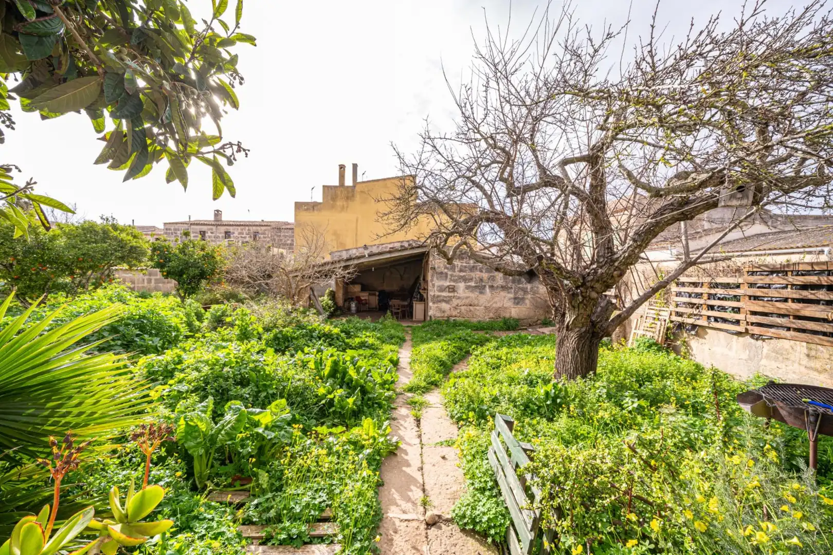 Jardí de Casa o xalet en venda en Felanitx