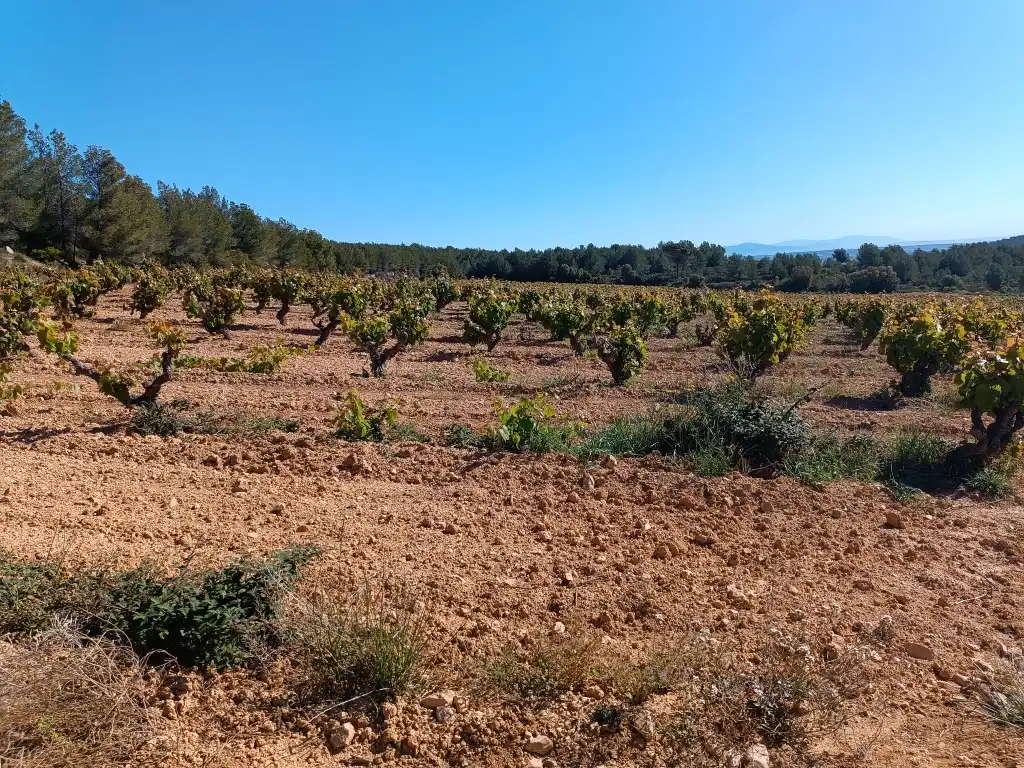 Rustikales Grundstück zum Verkauf in Sant Julià, imagen 7