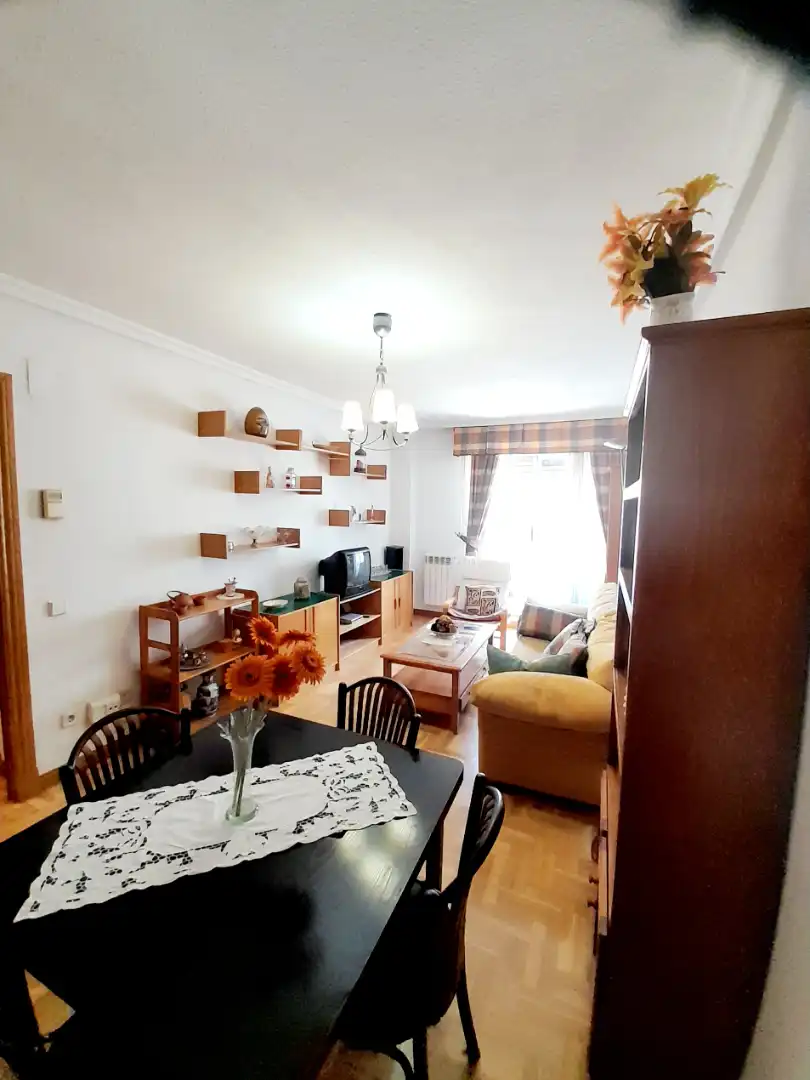 Sala d'estar de Apartament en venda en Salamanca amb Calefacció, Parquet i Moblat