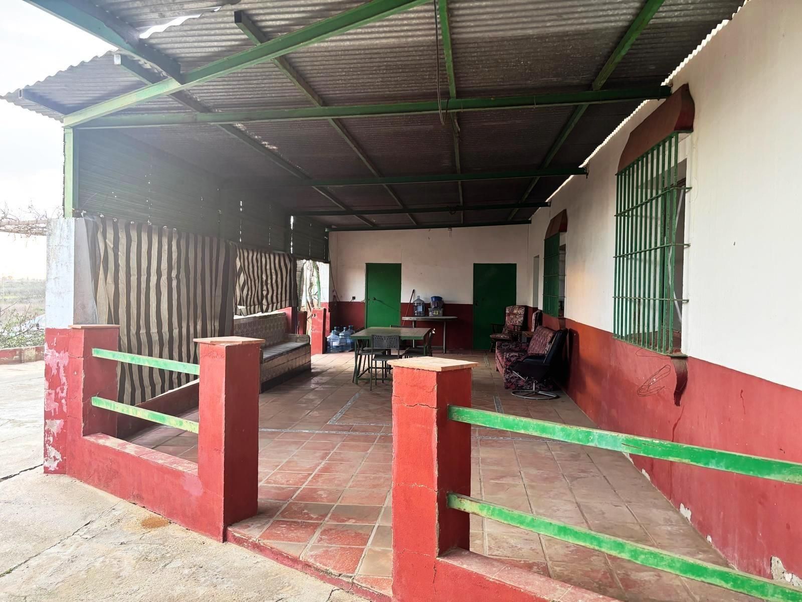 Land for sale in Olivares