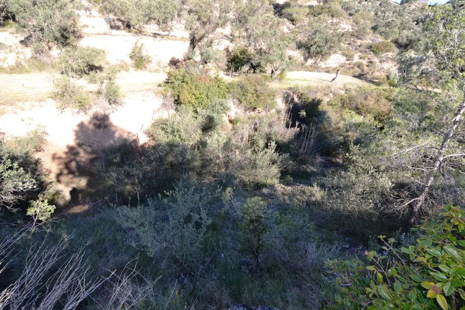 Rural land for sale in Ascó, imagen 26