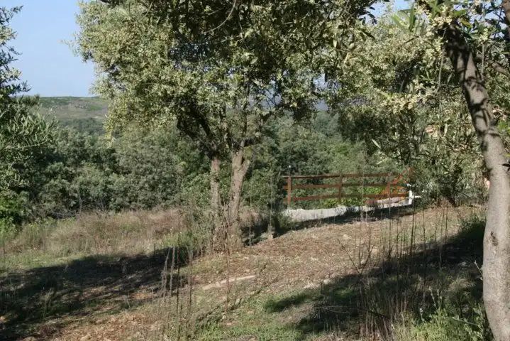 Terreni e lotti in vendita a Jarandilla de la Vera, imagen 17