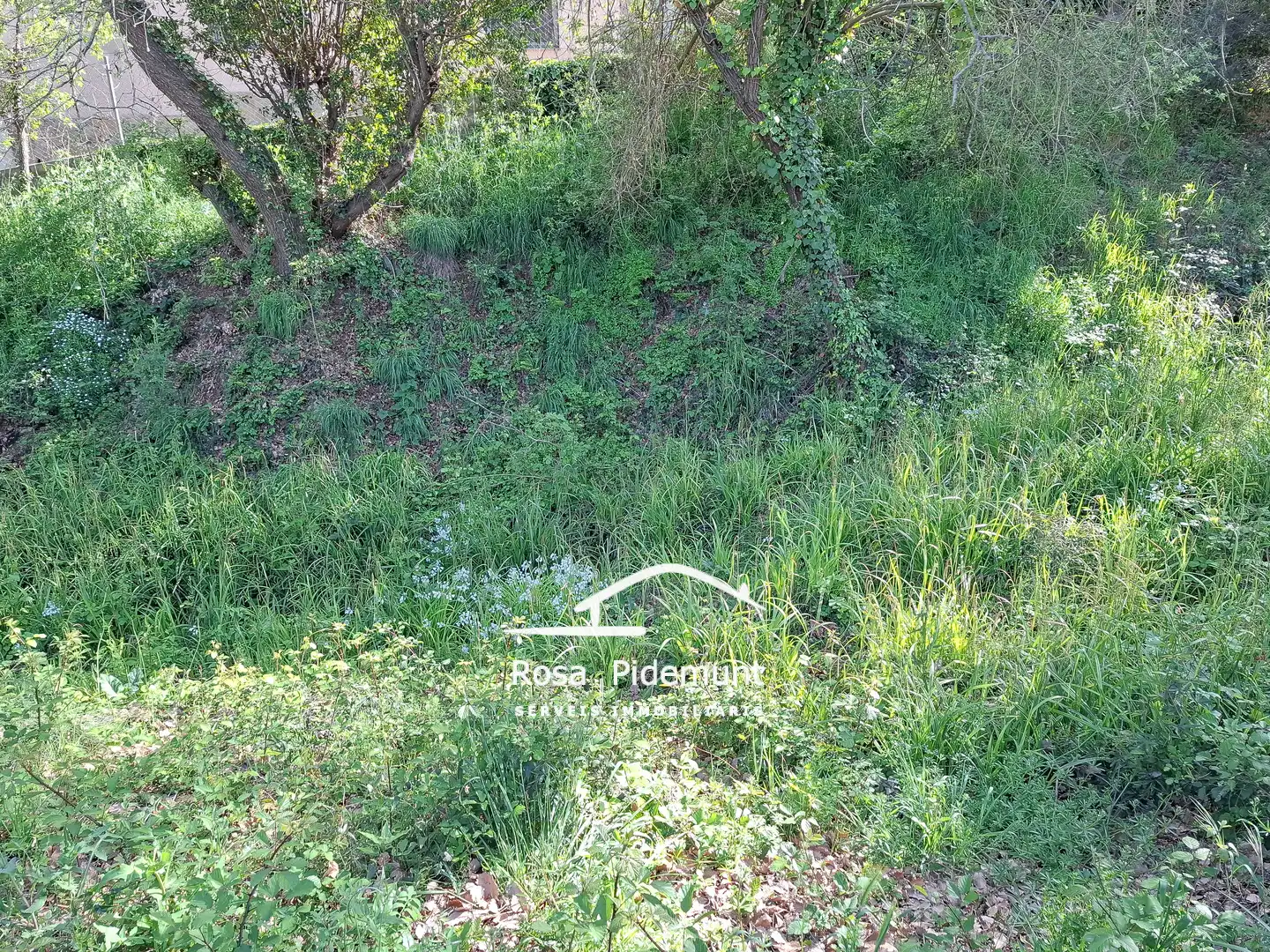 Residential land for sale in Avinguda Arbres, imagen 8