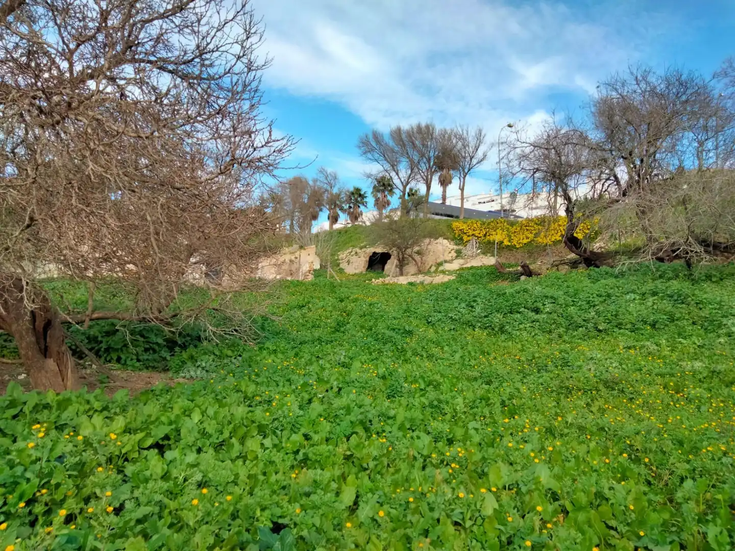 Terreny residencial en venda a Medina Sidonia