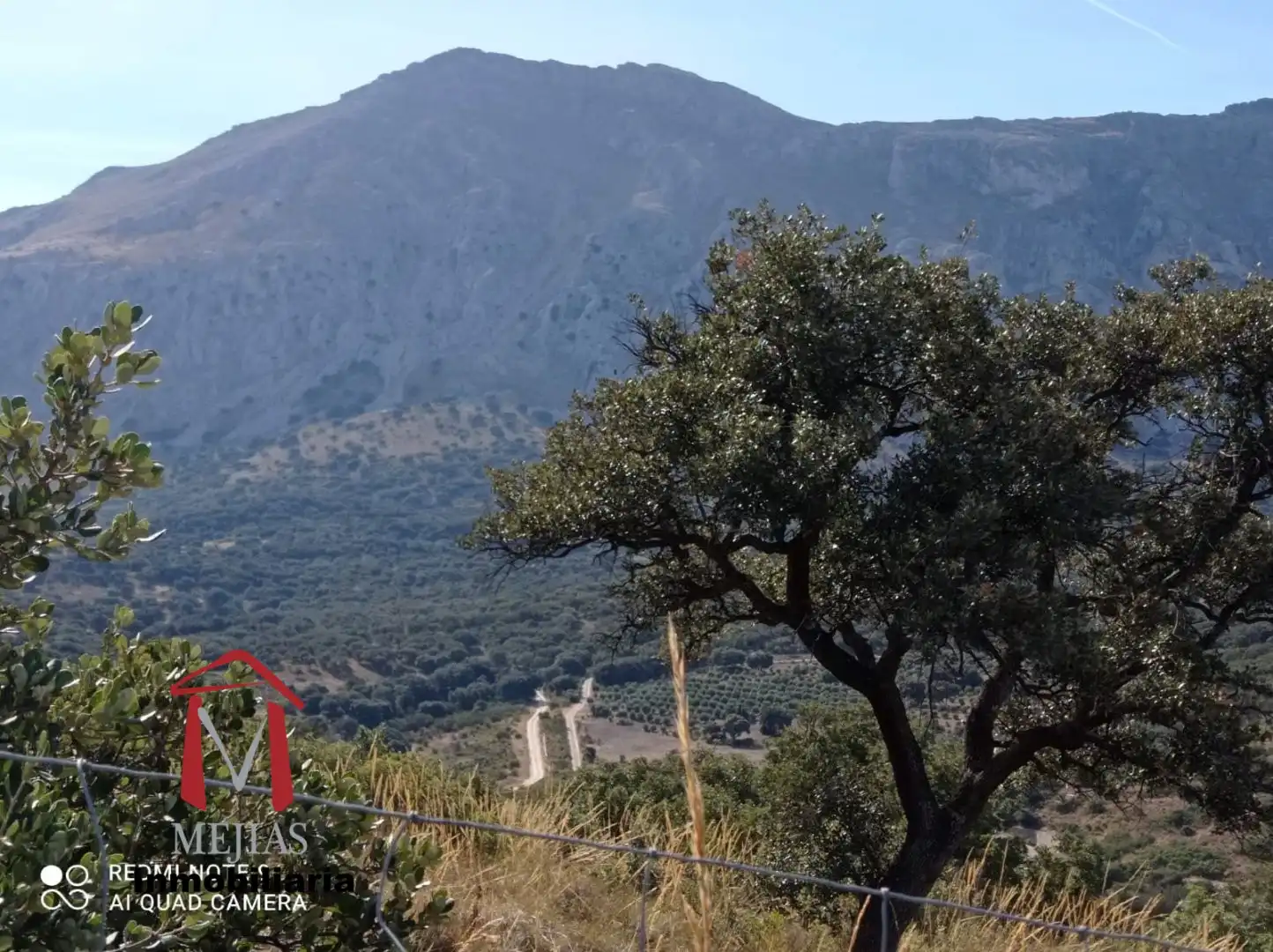 Vista exterior de Finca rústica en venta en Antequera con Terraza, Trastero y Piscina