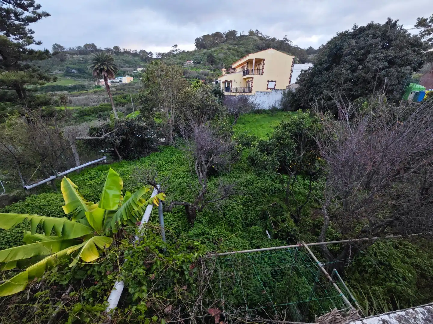 Casa o chalet en venta en Calle EL LOMO, 1, El Palmar