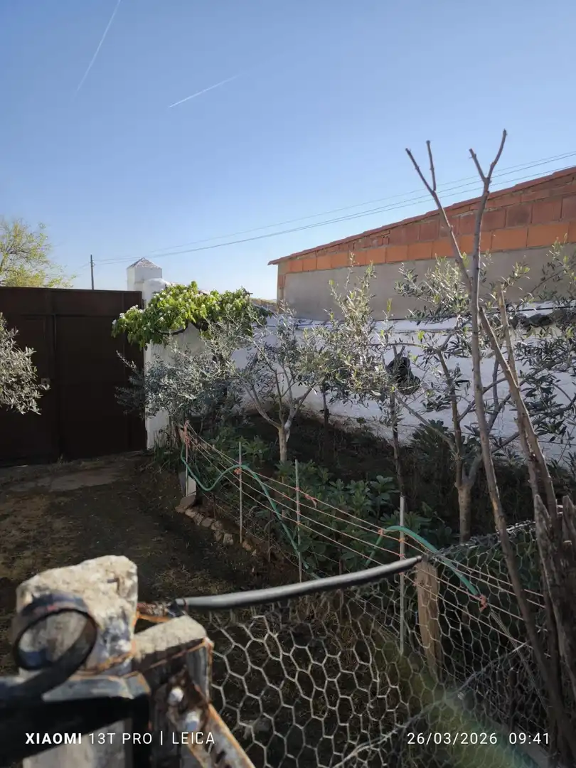Maison rustique à vendre à Fuente Obejuna, imagen 13
