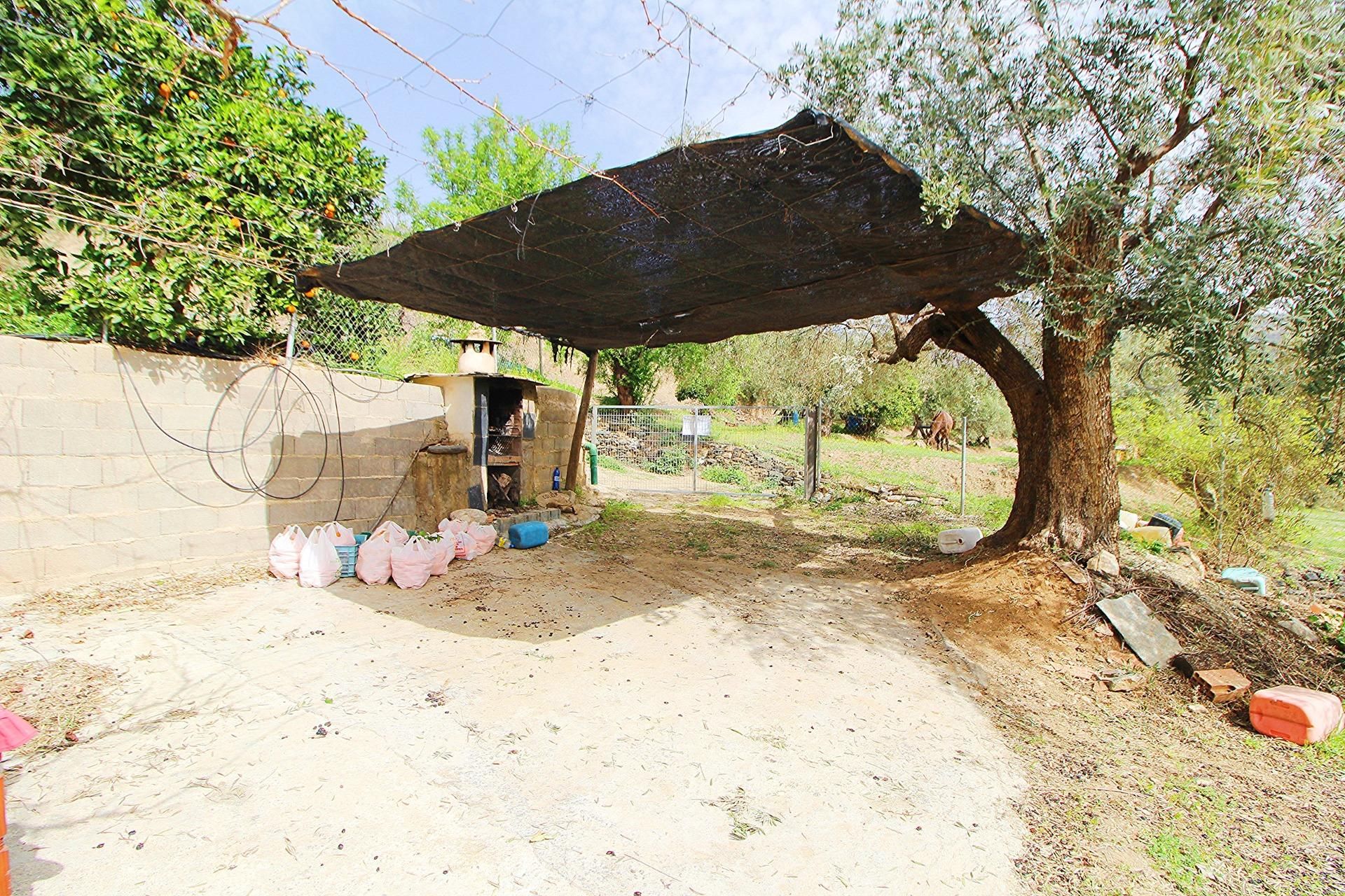 Garten von Grundstücke zum verkauf in Nevada