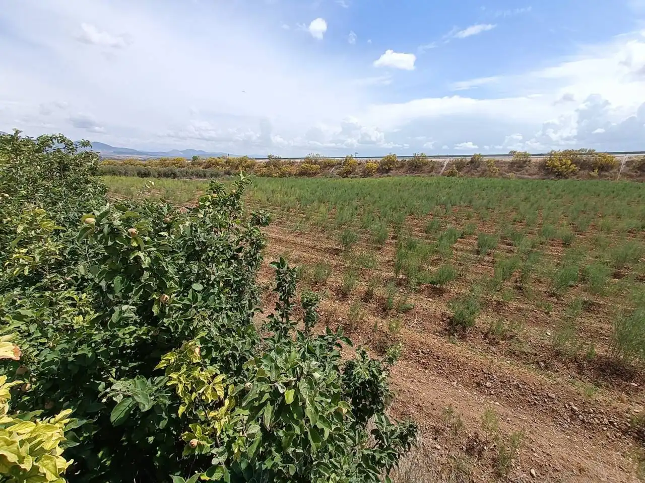 Rural land for sale in Moraleda de Zafayona, imagen 15
