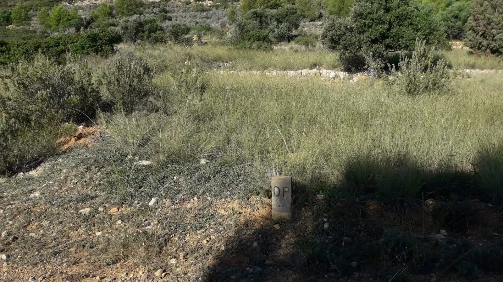 Residential land for sale in Polígono 5, imagen 9